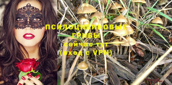 таблы Алексин