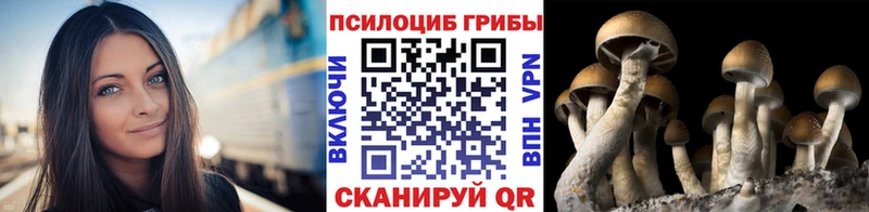 как найти Выкса Галлюциногенные грибы GOLDEN TEACHER