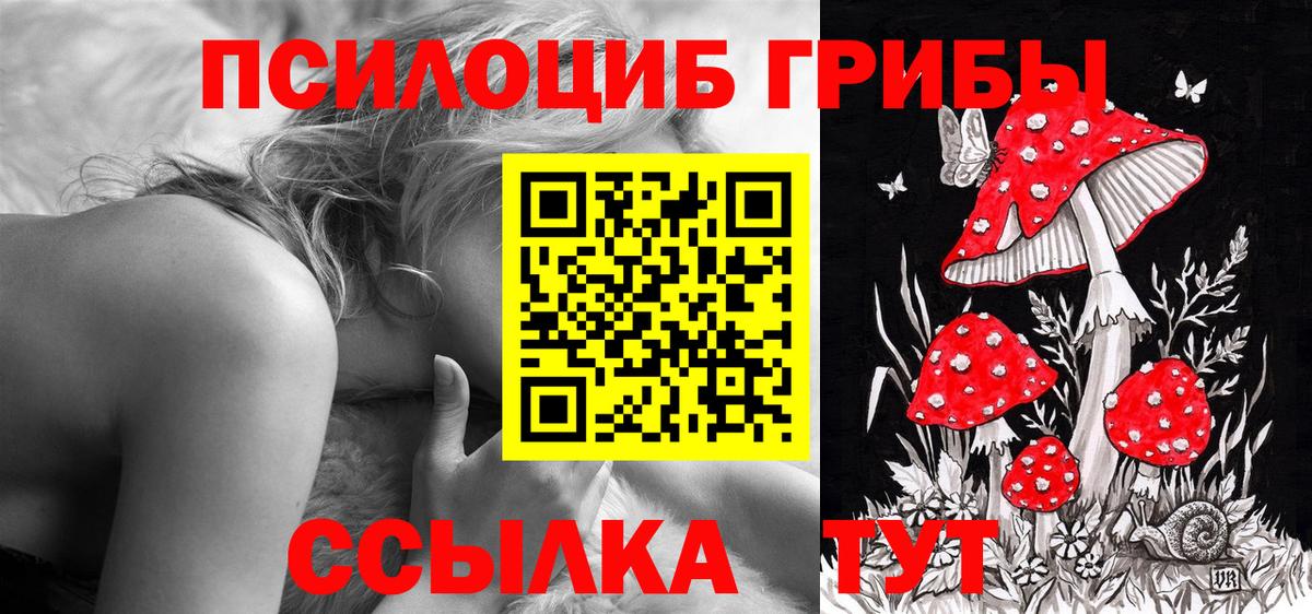 Выкса  Псилоцибиновые грибы мухоморы  Вход с VPN 